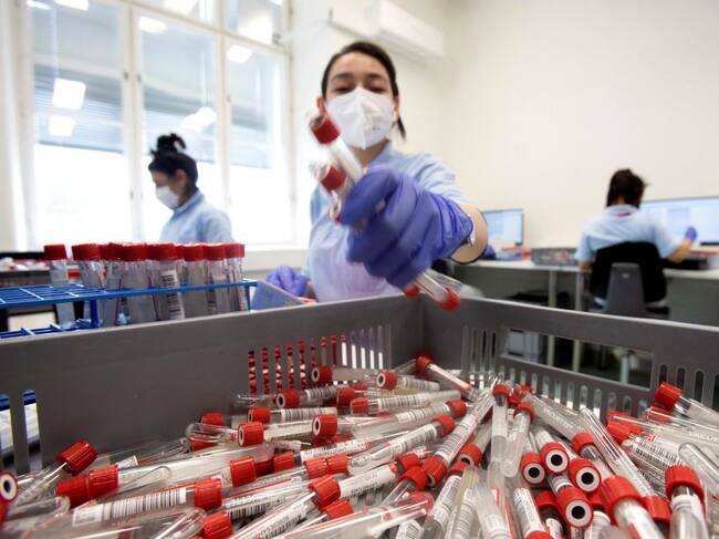 Trabajadores de un laboratorio analizan exámenes del covid-19