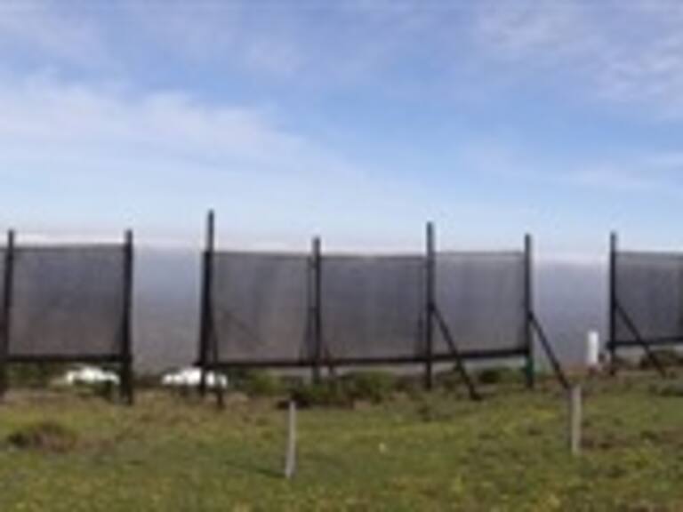 BBC y Popular Science destacan cervecería que trabaja con agua extraída de la niebla en Atacama