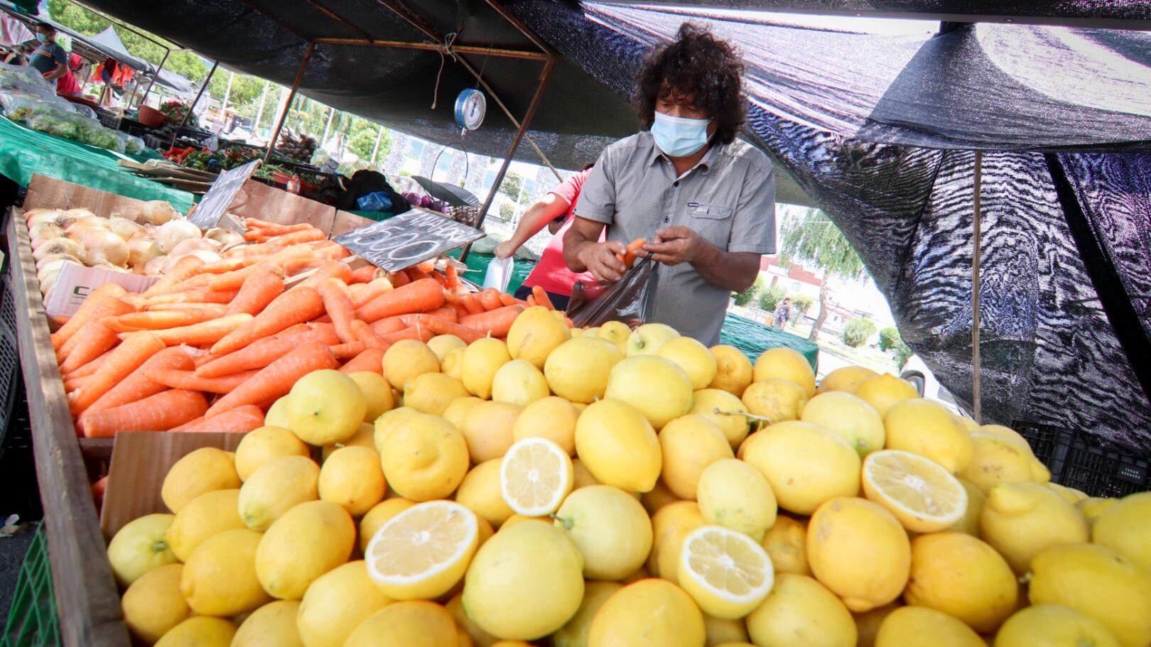 Alza de limones incidió en el IPC