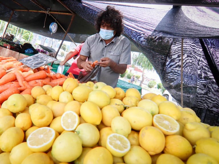 Alza de limones incidió en el IPC