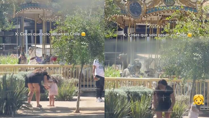 Indignación total: captan a mujer sacando patito desde laguna de centro comercial de Santiago