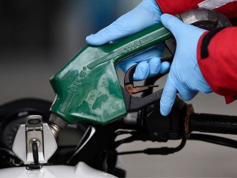 Economista experto en bencinas - economía