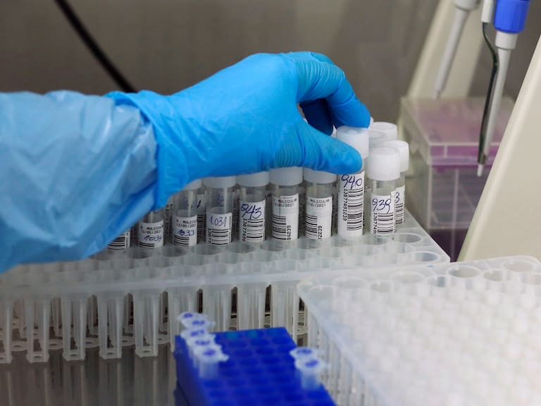 13 DE MAYO DE 2021/VALPARAISOEl Hospital Carlos van Buren inaugura un nuevo Laboratorio de Biología Molecular que fue diseñado e implementado para absorber la gran demanda de procesamiento de exámenes de PCR, entre otras labores, que generó la contingencia sanitaria por Covid-19.
FOTO: LEONARDO RUBILAR CHANDIA/AGENCIAUNO