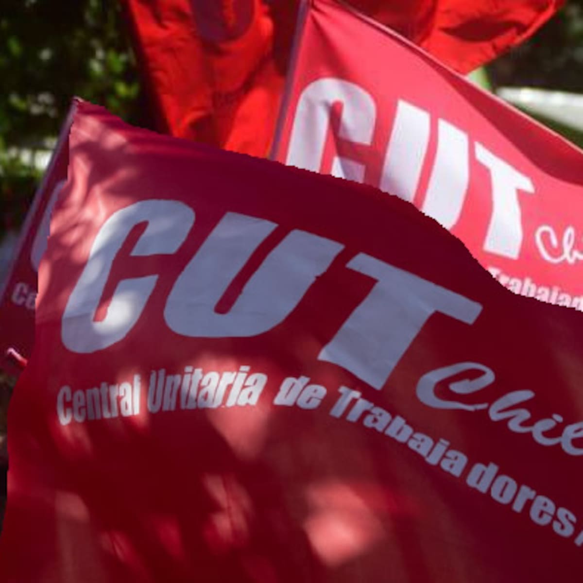 CUT pide frenar proyecto Sala Cuna Universal y advierte que el proyecto podría crear “dos sistemas desiguales”