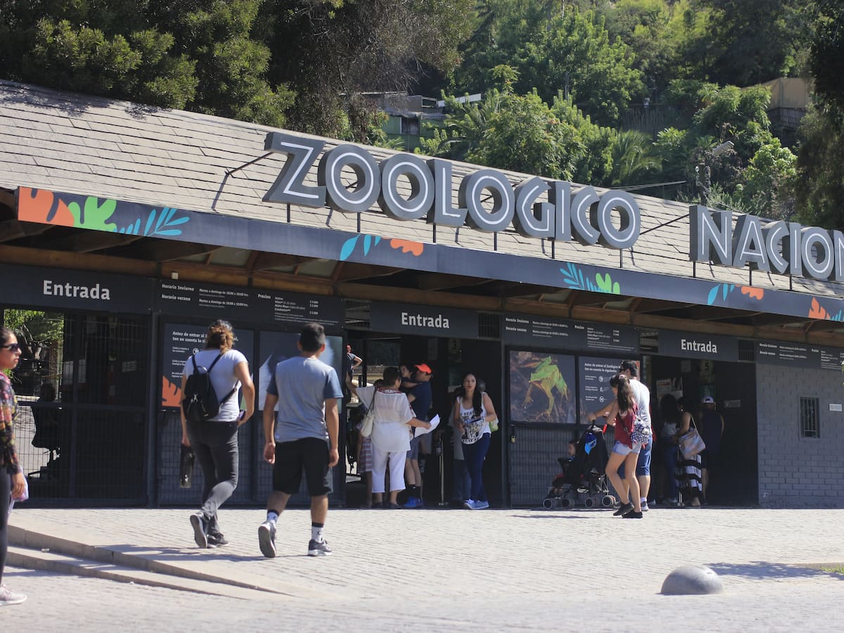 Ola de alertas por bombas en la Región Metropolitana: confirman evacuación preventiva en el Zoológico de Santiago