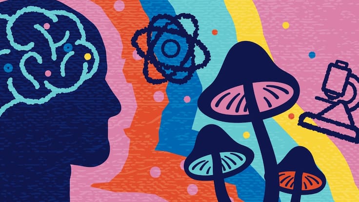 Rompió un silencio de años y volvió a sonreír: el caso de la anciana que abre un flanco inédito contra el Alzheimer tras usar psilocibina