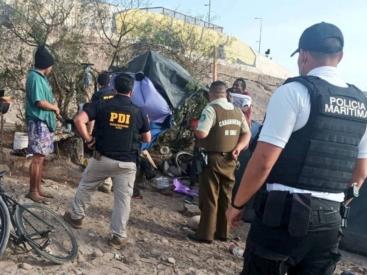 PDI detiene a cuatro extranjeros tras cazar y asar lobo marino en Arica
