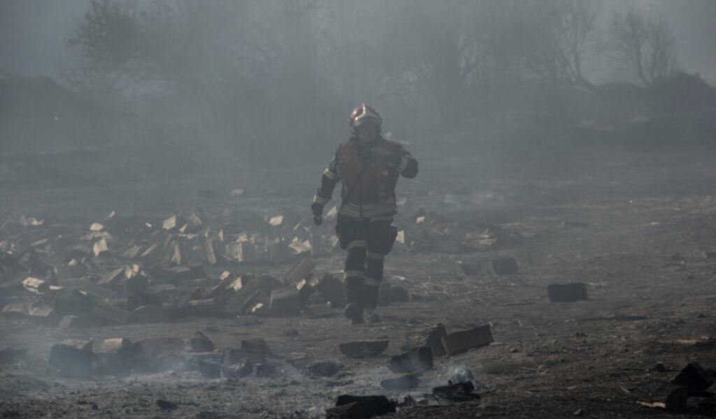 Maule, Los Ríos, animales muertos, hectáreas consumidas, fuego, p