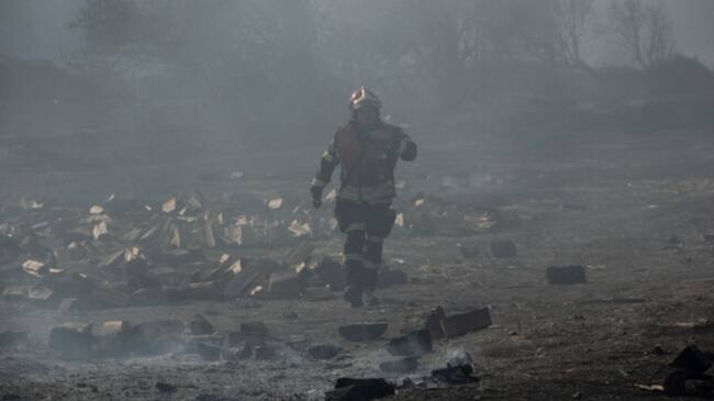 Maule, Los Ríos, animales muertos, hectáreas consumidas, fuego, p