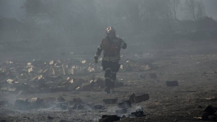 Maule, Los Ríos, animales muertos, hectáreas consumidas, fuego, p