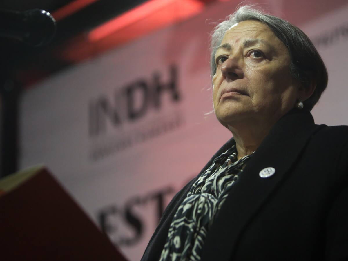 Directora del INDH plantea incluir a la CAM en una mesa de diálogo en la macrozona sur