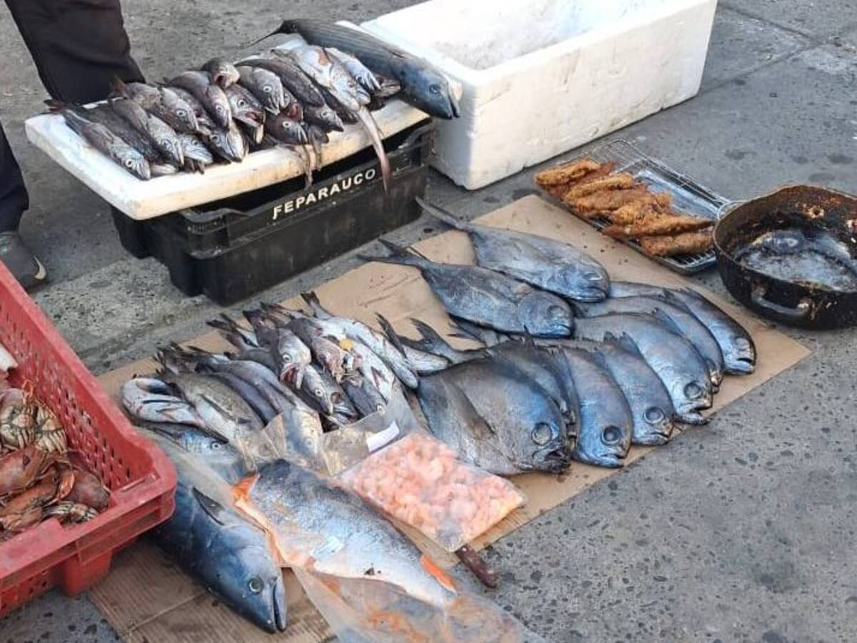 Operativo en Viña del Mar: Decomisan más de 280 kilos de productos del mar dejando un saldo de cinco personas detenidas