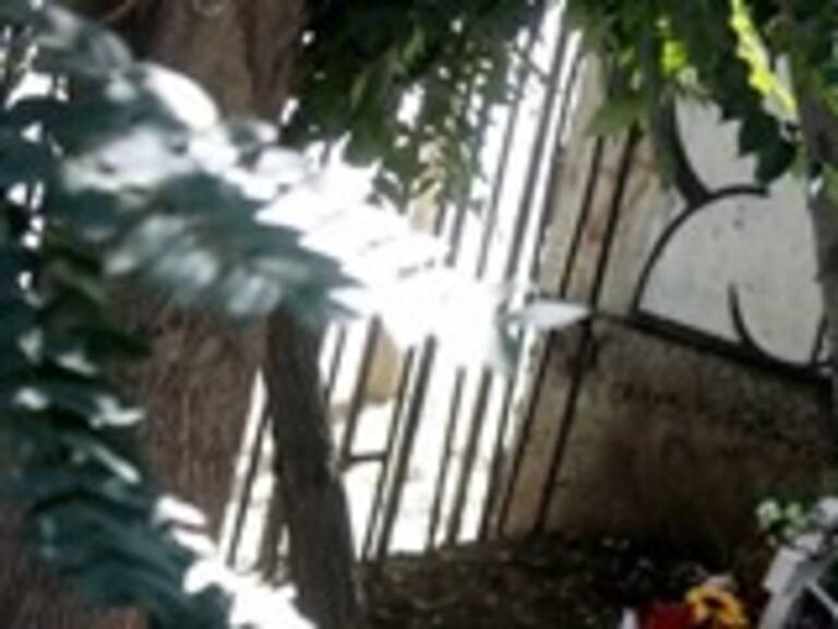 Fundación Iguales condenó ataque a la animita de Daniel Zamudio: «La homofobia sigue existiendo»