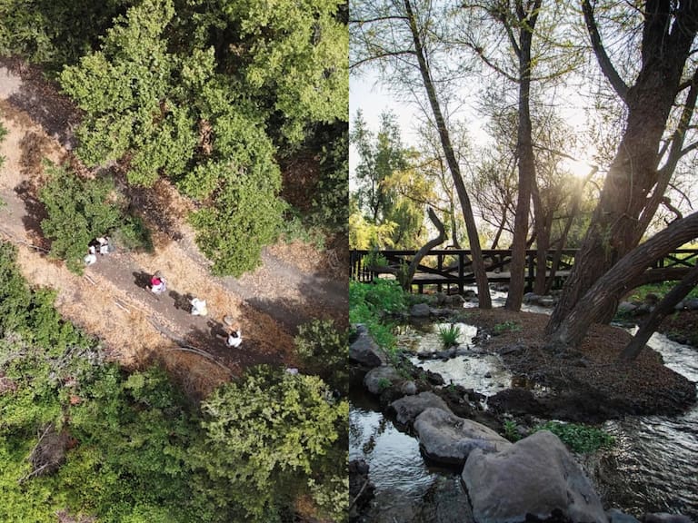 “Es uno de los mejores panoramas outdoor cerca de Santiago”: así es el enorme parque que llegó a la capital