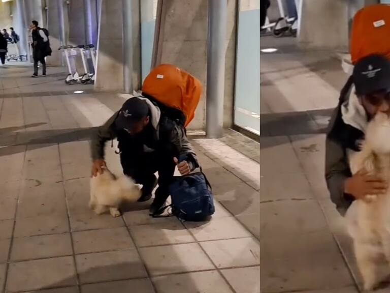 «Gracias por hacerme llorar”: reencuentro de perrita con su humano en Concepción emociona a las redes sociales