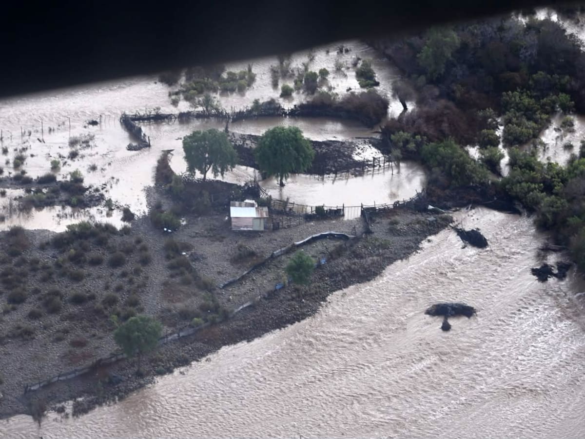 “El catastro aún es incompleto”: temporal golpea a la industria del pisco con viñedos inundados y graves daños en sistemas de riego