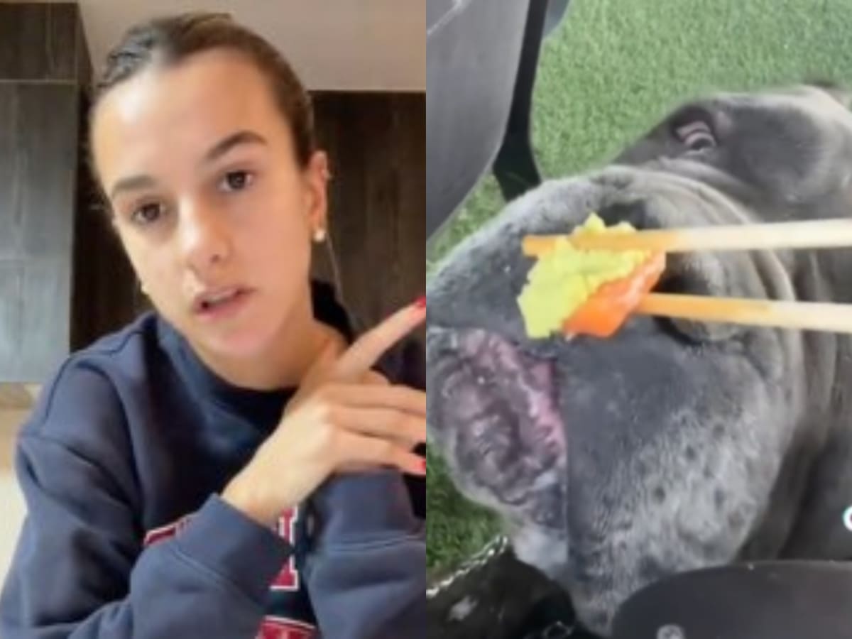 Diputado denunciará a influencer Josefa Sáez por darle wasabi a su perro: “No es contenido, es crueldad”