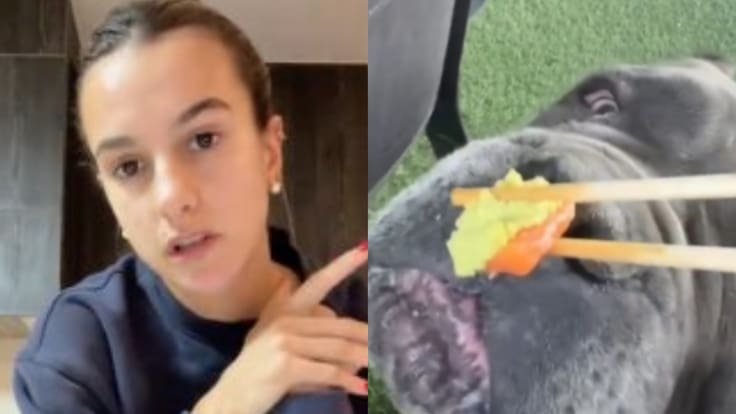 Diputado denunciará a influencer Josefa Sáez por darle wasabi a su perro: “No es contenido, es crueldad”