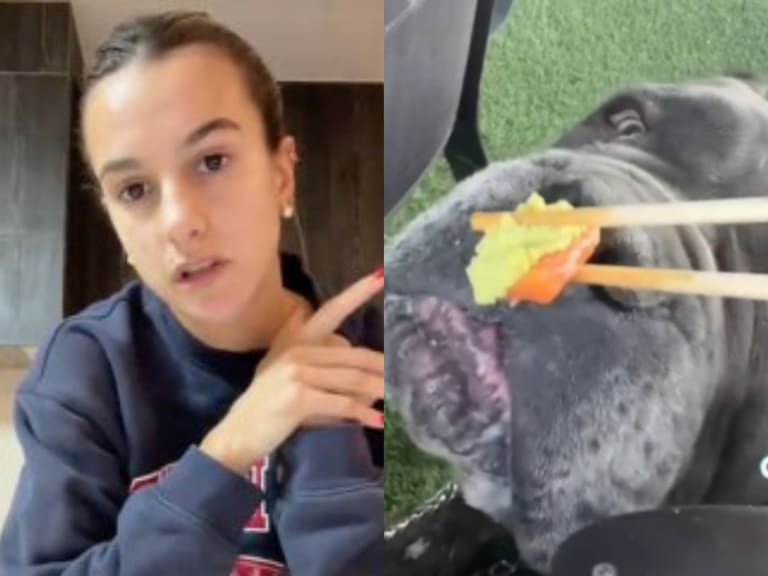 Diputado denunciará a influencer Josefa Sáez por darle wasabi a su perro: “No es contenido, es crueldad”