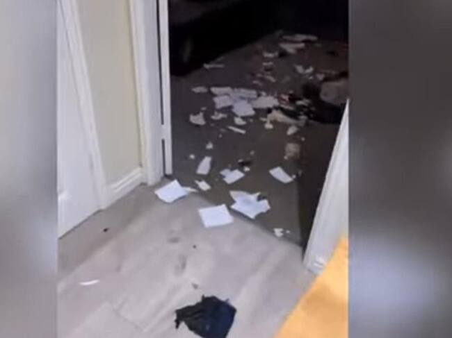 Video viral de perros