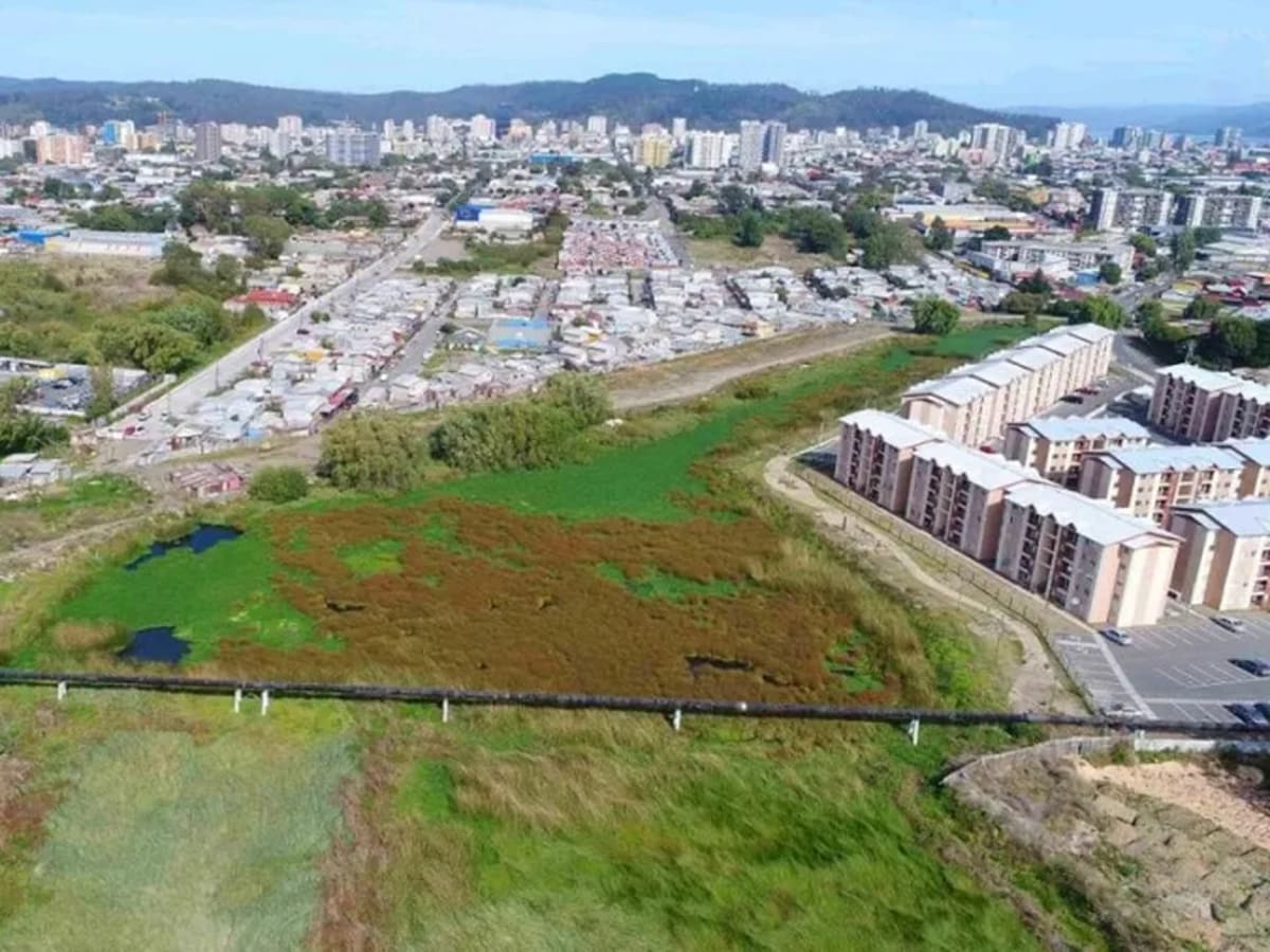 Inestabilidad del suelo en Chile: El peligro invisible de edificar sobre humedales