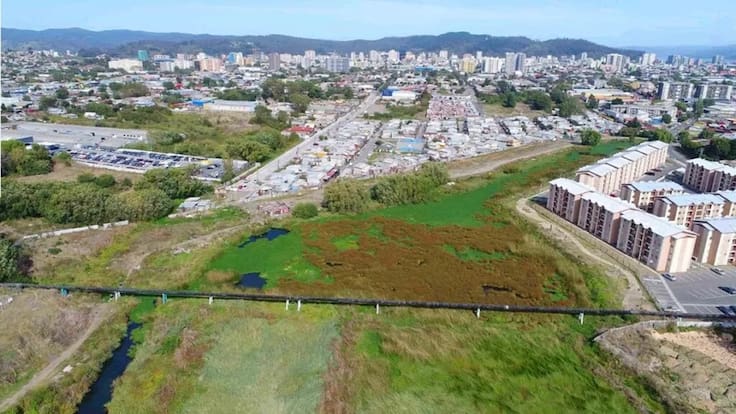 Inestabilidad del suelo en Chile: El peligro invisible de edificar sobre humedales