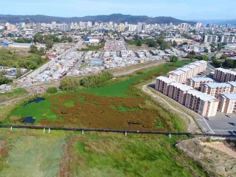 Inestabilidad del suelo en Chile: El peligro invisible de edificar sobre humedales