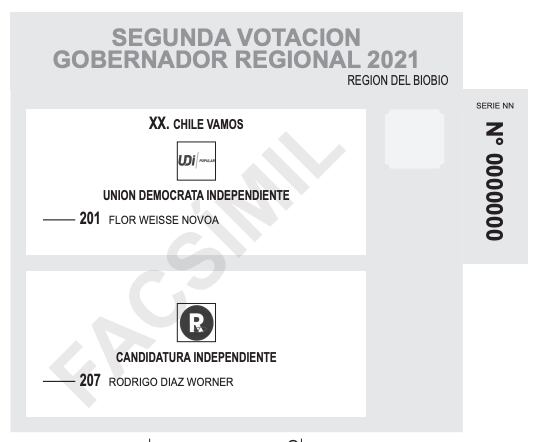 Voto de gobernadores regionales Biobío / Fuente: Servel