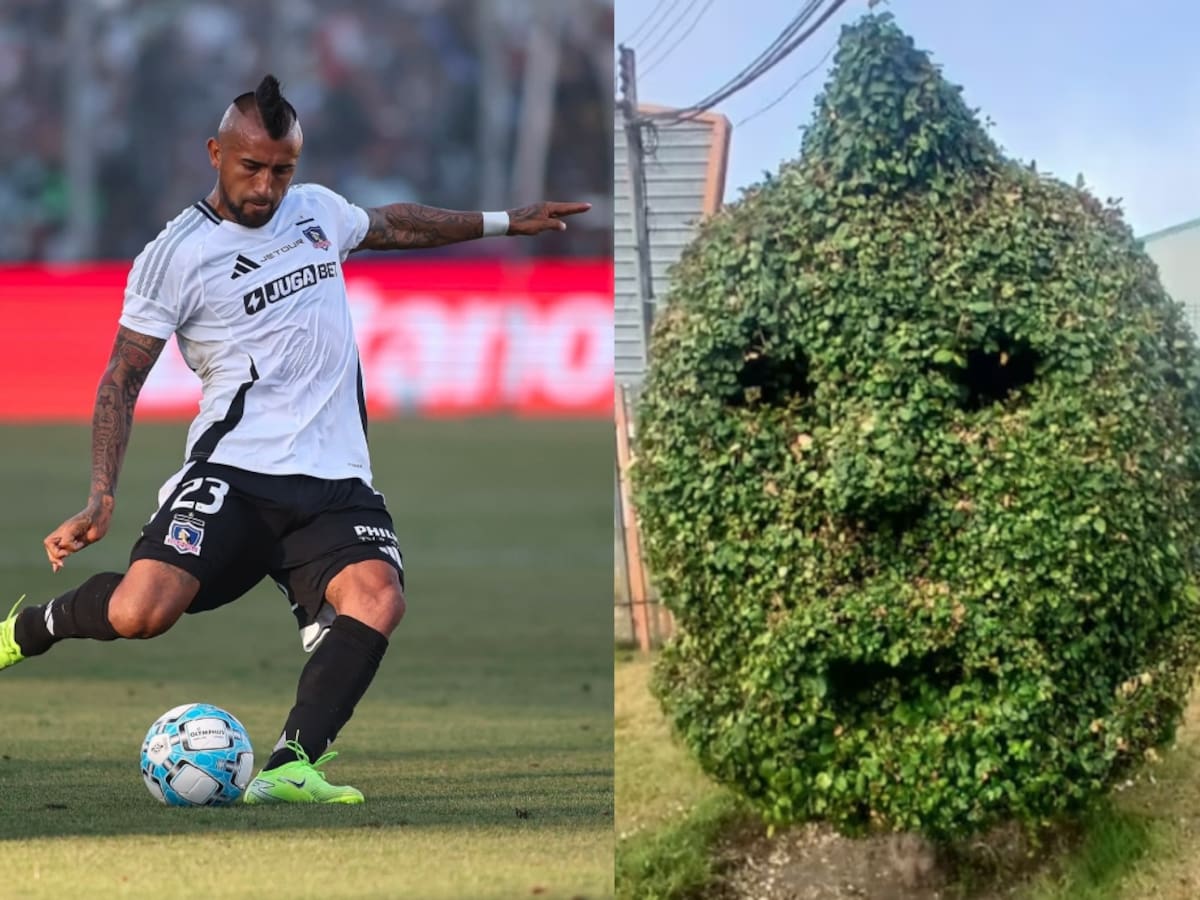 Queman homenaje de jardineros a Arturo Vidal en Talcahuano: duró solo unas horas tras ser presentado