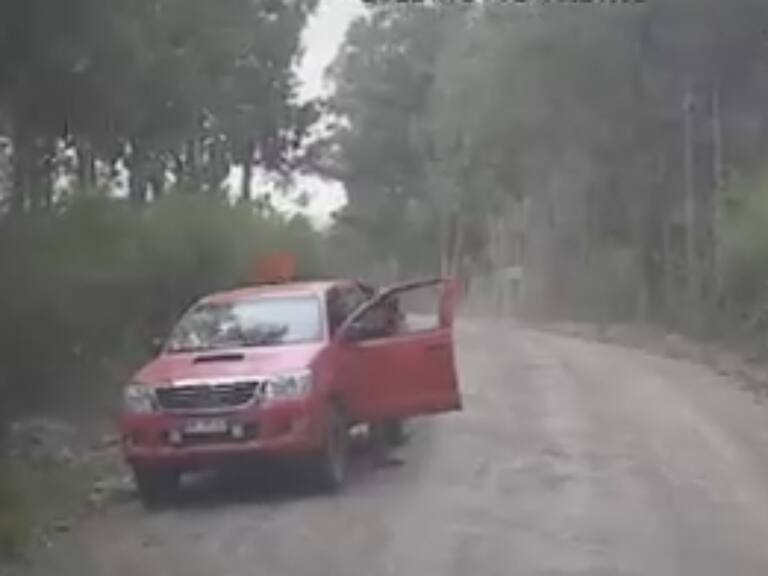 Gremio de contratistas forestales desmintió montaje en ataque incendiario en la macrozona sur