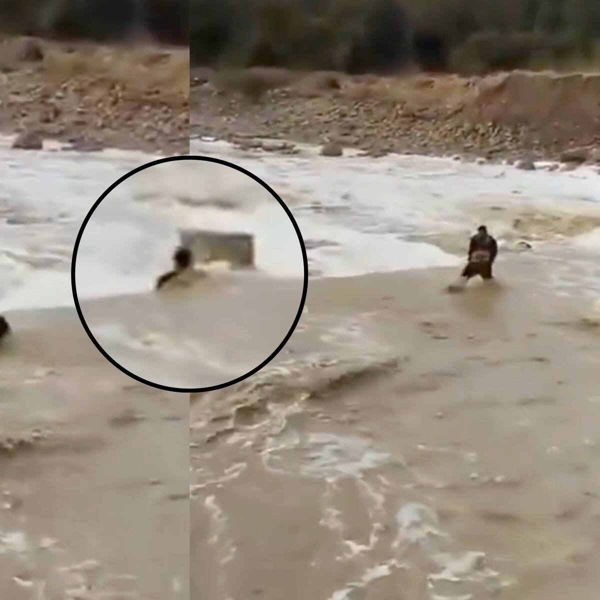 Impactante registro en Punitaqui: joven intenta cruzar un estero y es arrastrado en medio las intensas lluvias en el norte