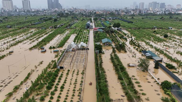 El supertifón Yagi generó graves inundaciones en Vietnam, como las zonas rurales y las cosechas en los alrededores de la capital Hanói