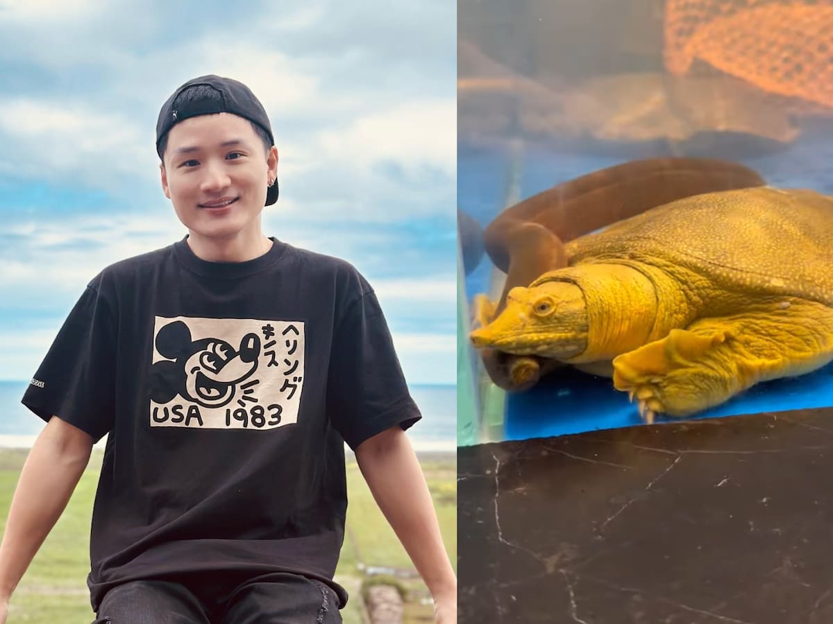 “Es muy común en China”: Yuhui Lee desata la polémica tras comprar tortuga viva para cocinarla
