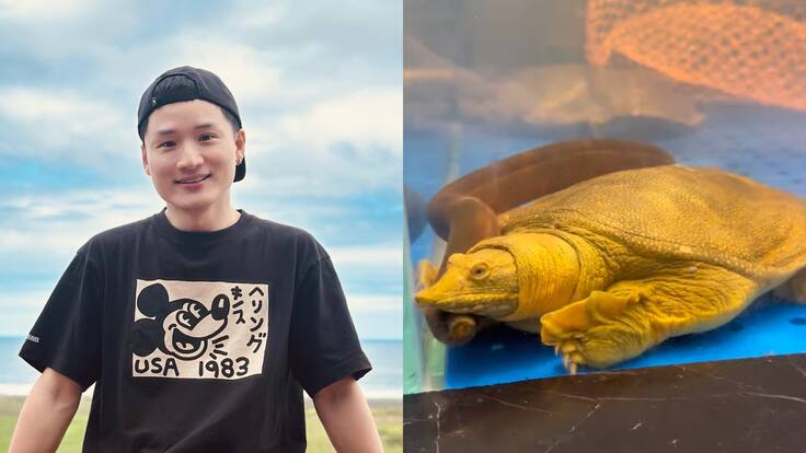 “Es muy común en China”: Yuhui Lee desata la polémica tras comprar tortuga viva para cocinarla