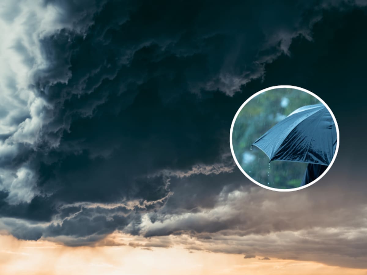 El Fenómeno de El Niño en Chile 2026: pronostican que el “peak” del evento climático será en esta fecha