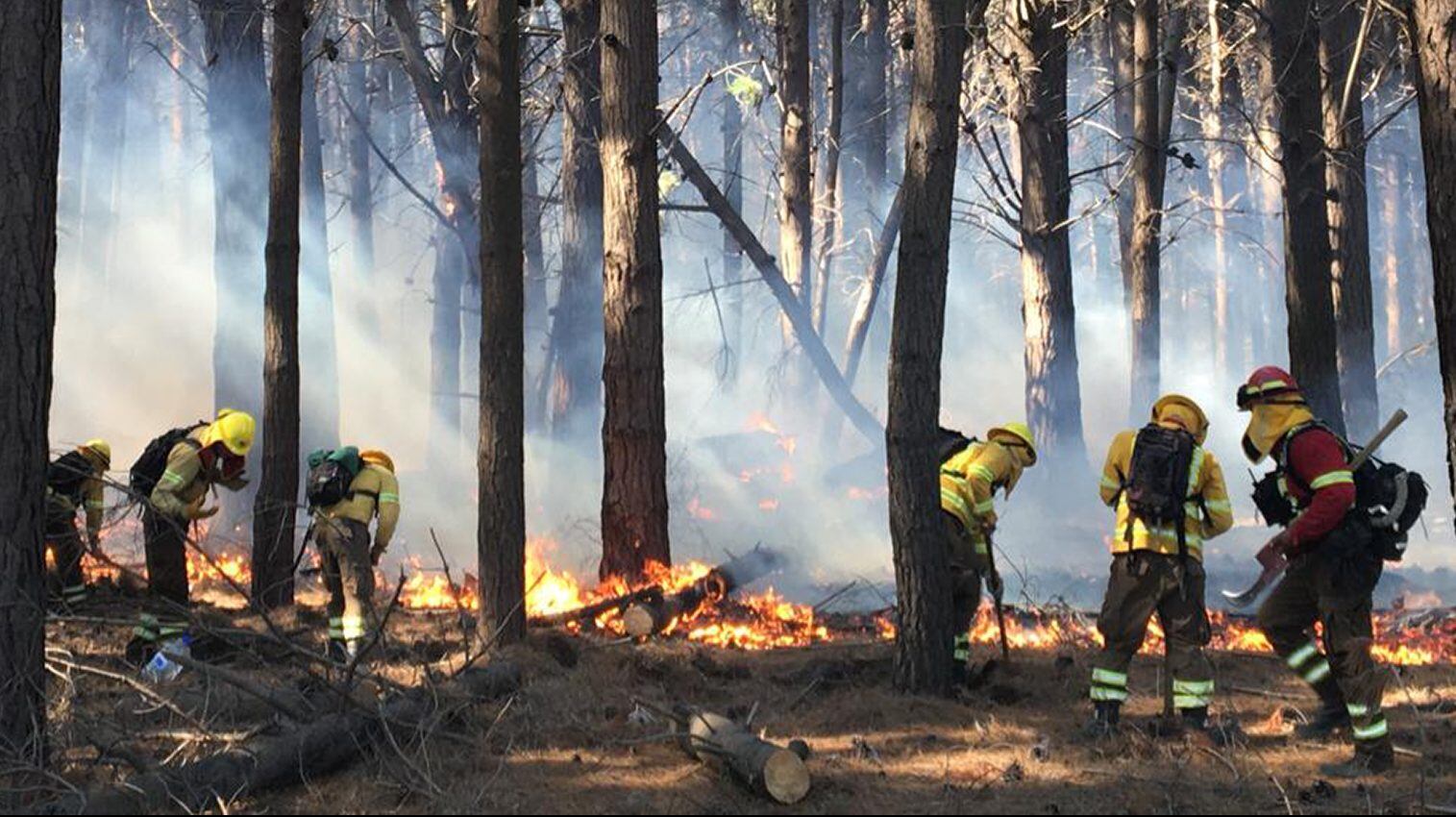 Incendio forestal