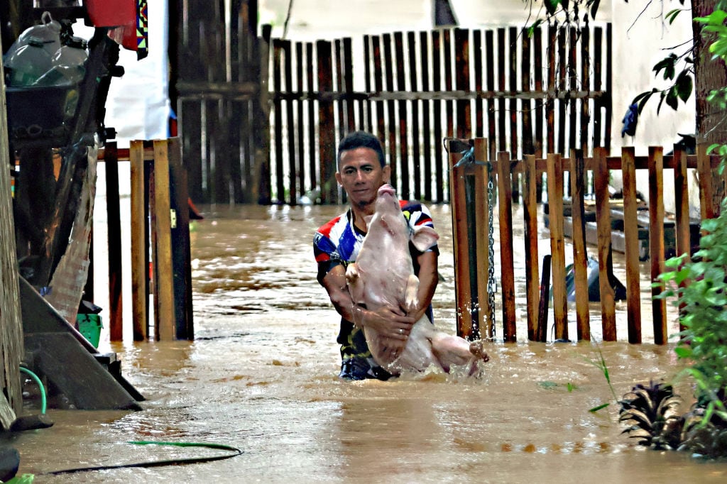 Un residente rescata a su cerdo tras las graves inundaciones que deja una tormenta tropical en la isla de Mindanao de Filipinas.