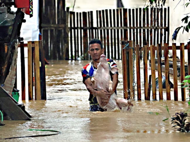 Un residente rescata a su cerdo tras las graves inundaciones que deja una tormenta tropical en la isla de Mindanao de Filipinas.