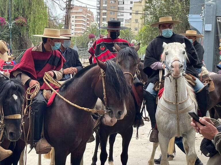 Cocheros de victorias se manifestaron en la Municipalidad de Viña del Mar: exigen que alcaldesa Ripamonti cumpla su promesa de campaña
