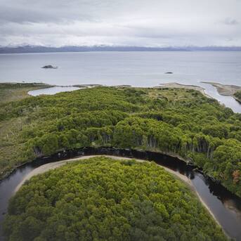 Chile tendrá nuevo Parque Nacional: en qué región se ubica y a qué especies da protección