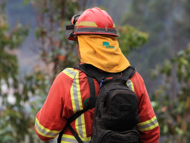 Muere jefe de brigada de la Conaf que combatía incendio forestal en región del Biobío