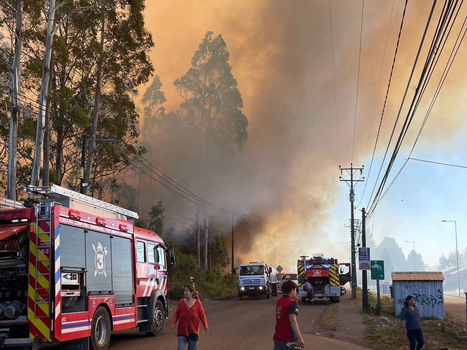 Declaran Alerta Roja en la comuna de Puerto Montt por incendio forestal