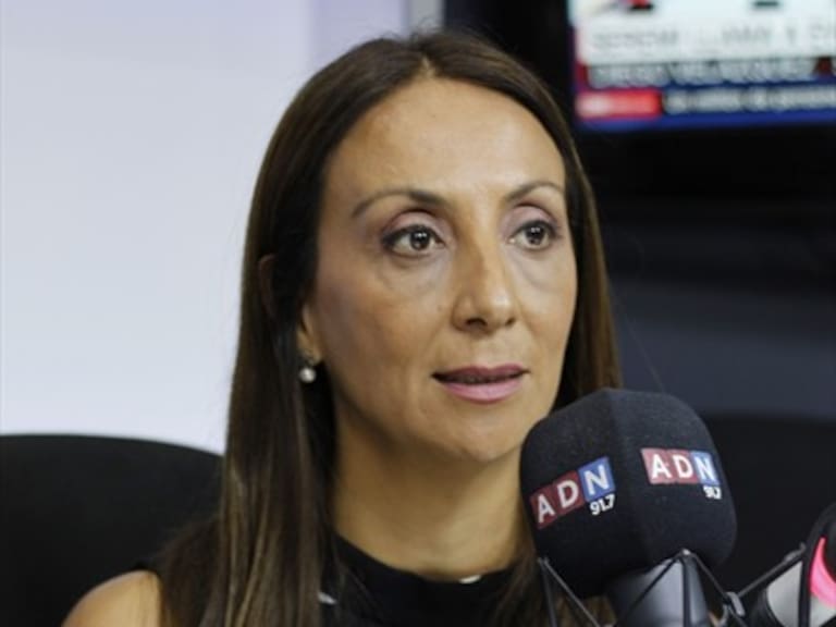 Pérez por Catrillanca: «Cometimos un error porque le creímos a un grupo de Carabineros mentirosos»