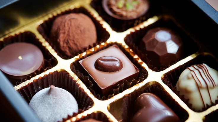 Dueños de chocolatería premium construirán nueva planta en Chile: invertirán US$ 94 millones y esta será su ubicación
