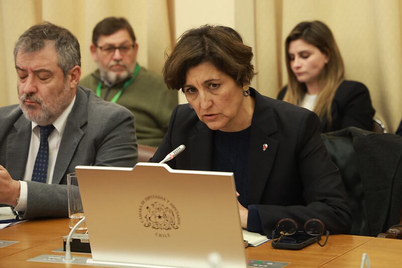 CÁMARA DE DIPUTADOS Y DIPUTADAS