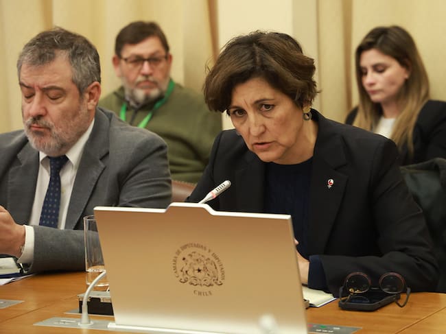 CÁMARA DE DIPUTADOS Y DIPUTADAS