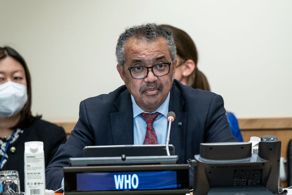 El titular de la Organización Mundial de la Salud Tedros Adhanom Ghebreyesus