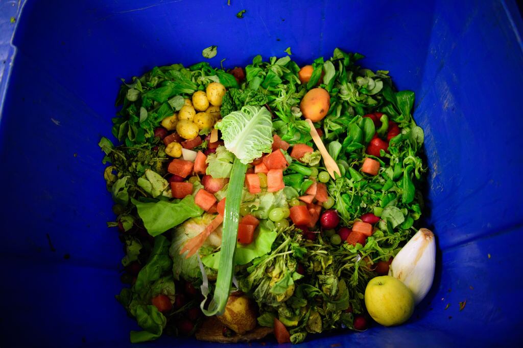 Diferentes alimentos se observan al interior de un basurero