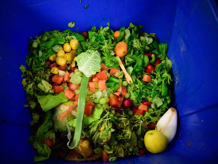 Diferentes alimentos se observan al interior de un basurero