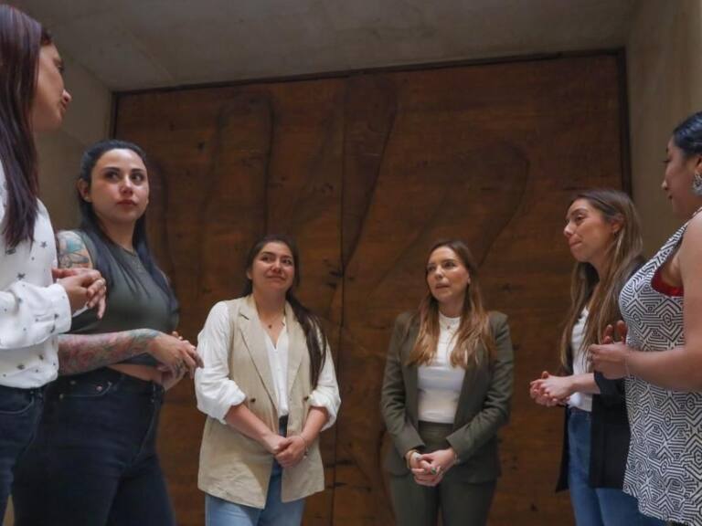 Madre obligada a entregar a su hija al padre expone su complejo caso ante la Comisión de Mujeres de la Cámara